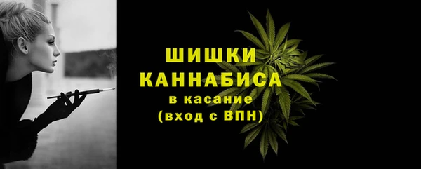 шишки Балахна